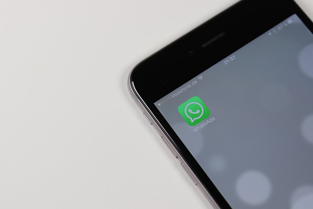 Onde fica a lixeira do WhatsApp?