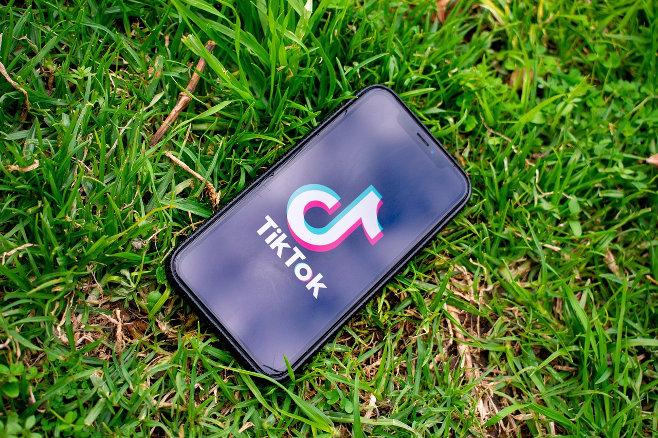 Crescer no TikTok em 2026: Métodos Rápidos Funcionam?